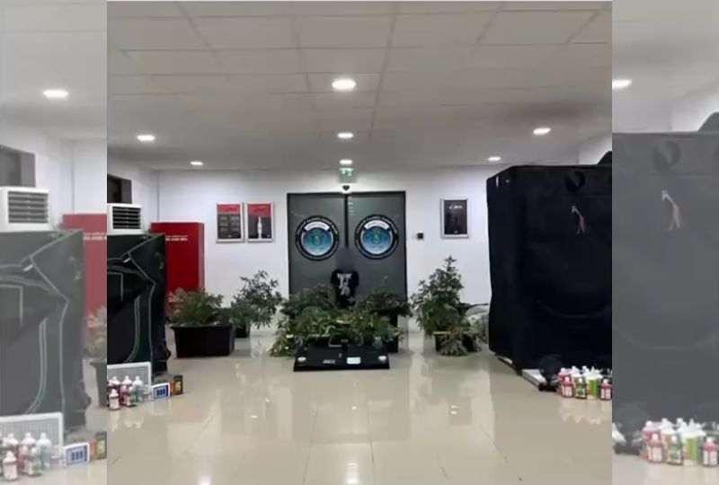 Kuwait Police raids hidden marijuana farm inside home